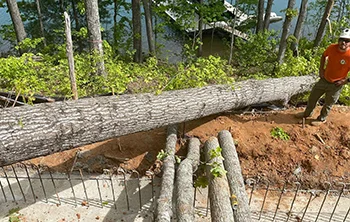 20.000 LBS Of Logging Chains