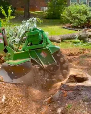 Stump Grinding - Service Carolina Outdoor Service